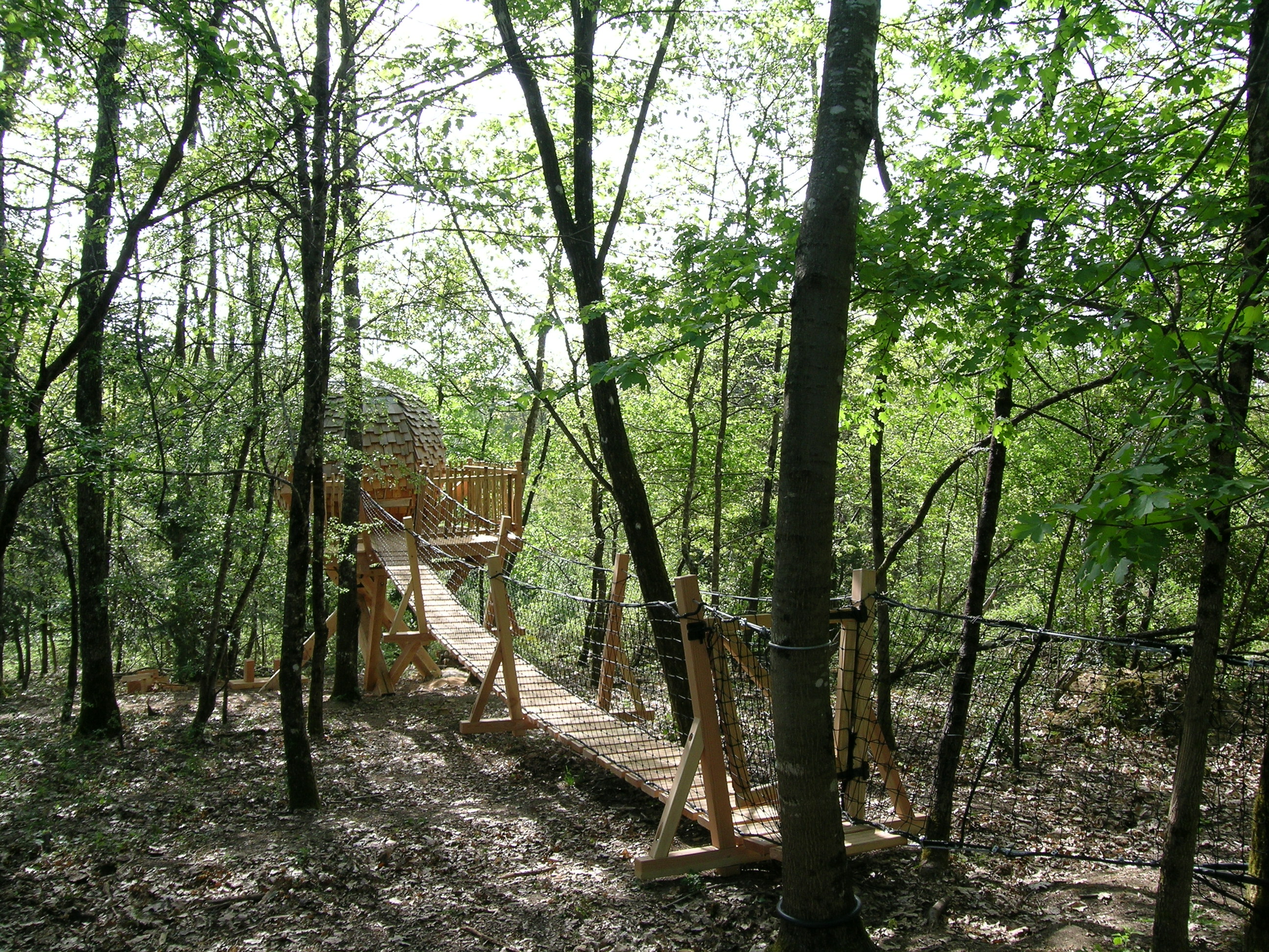 Pont de singe de la cabane perchée dans le parc arboré - Bergerac - Dordogne