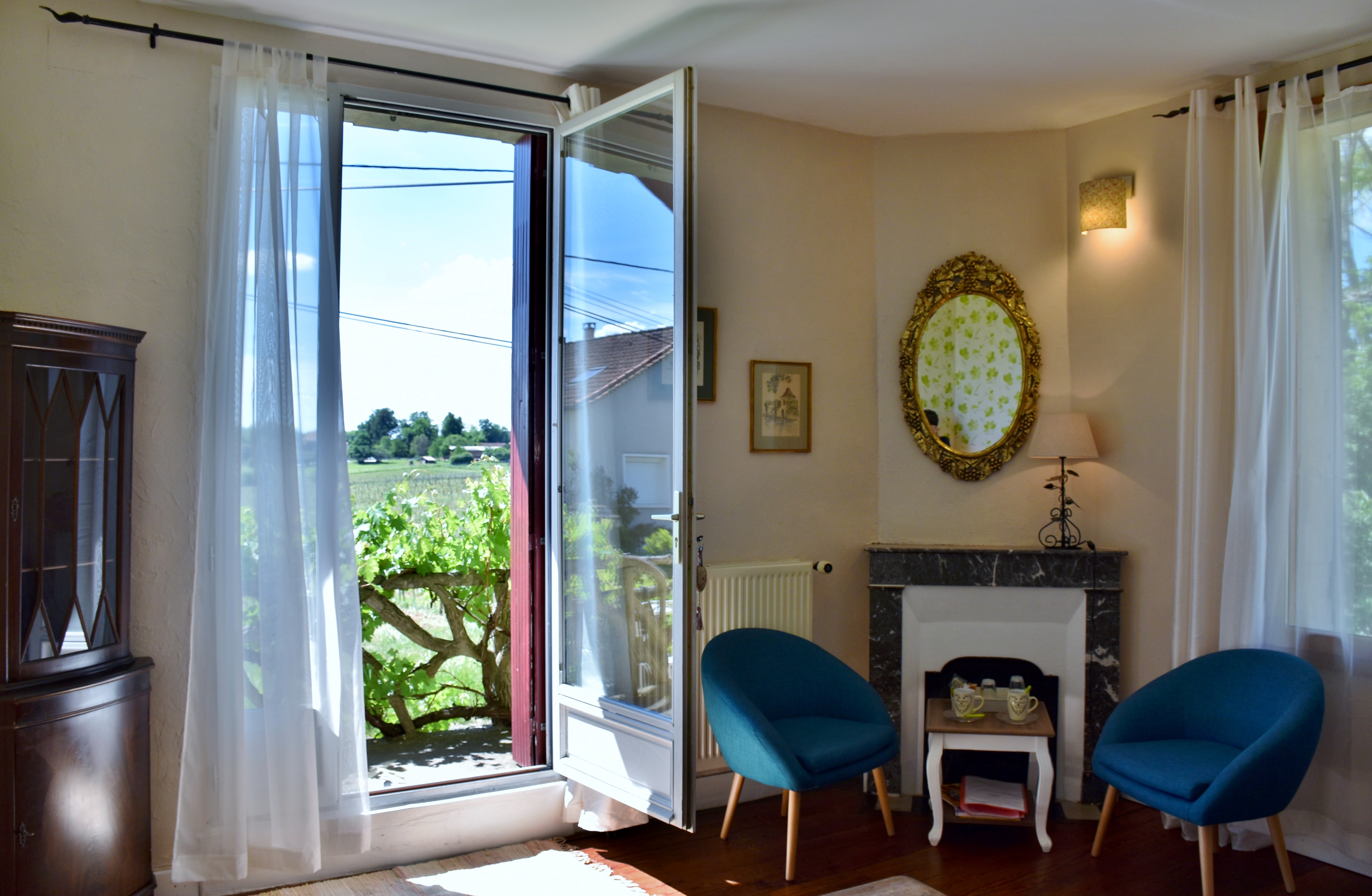 Vue depuis la fenêtre de la chambre d'hôtes les Vignes - Bergerac - Dordogne