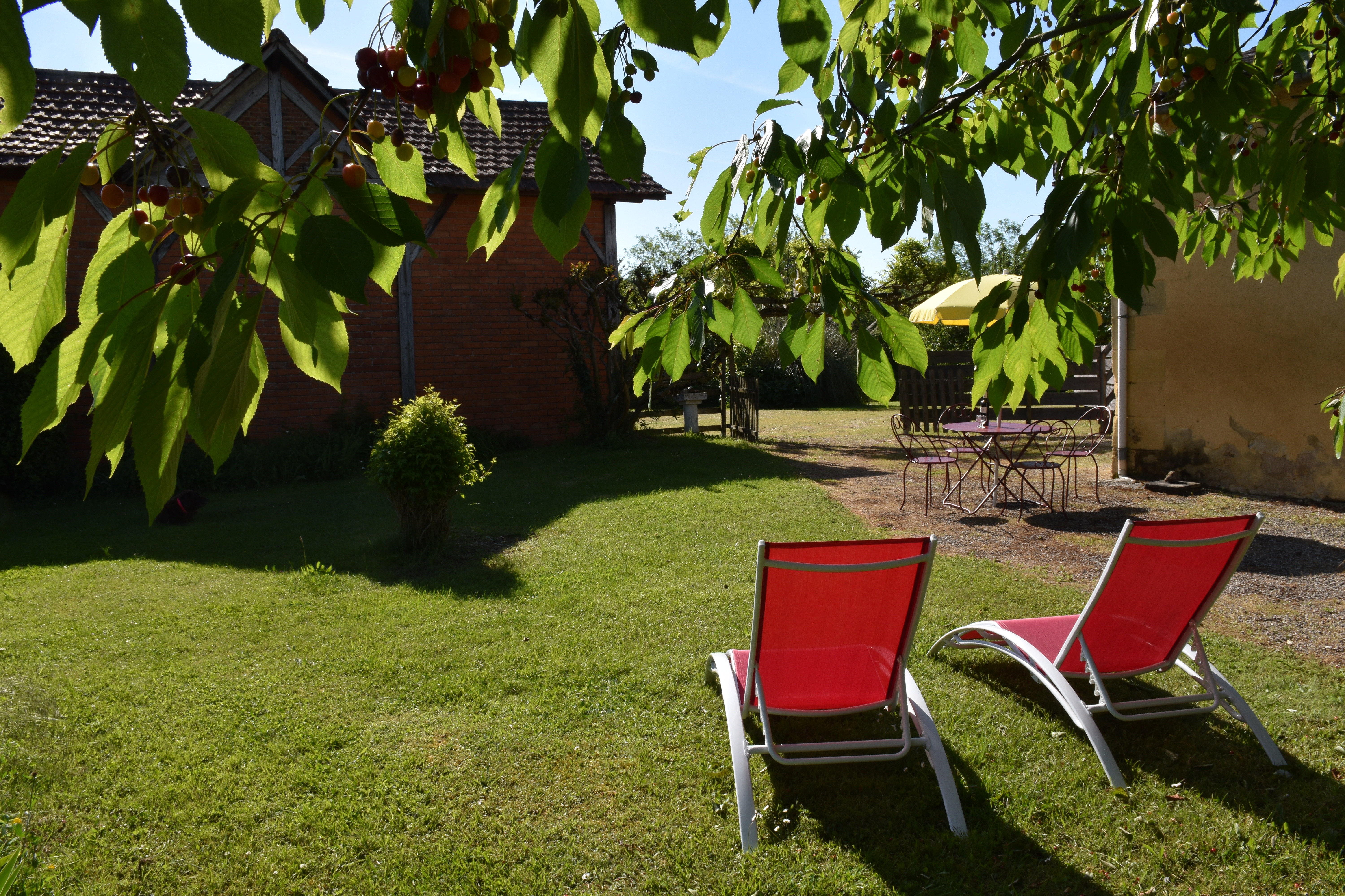 Transats du jardinet privatif, gite Les Iris 2 personnes - Bergerac - Dordogne